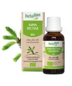 Sapin pectiné (Abies pectinata) j. p. BIO, 15 ml